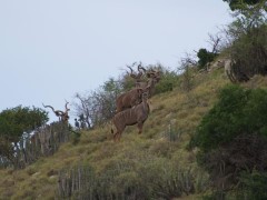 Bucket List Outfitters