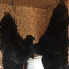 Bucket List Outfitters