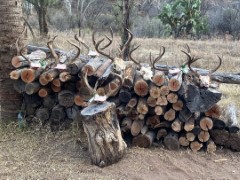 Bucket List Outfitters