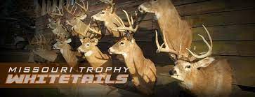 Bucket List Outfitters Texas Hunts