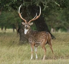 Bucket List Outfitters
